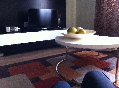 Holiday Apartment in Lisbon (Grande Lisboa) or holiday homes and vacation rentals