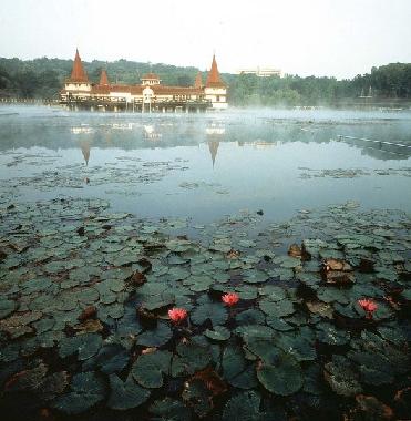 Holiday Apartment in Keszthely (Zala) or holiday homes and vacation rentals