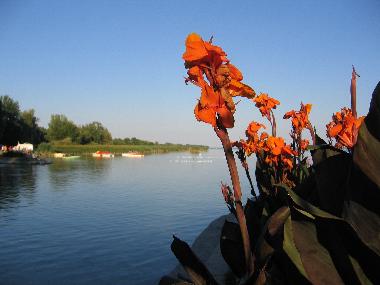 Holiday Apartment in Keszthely (Zala) or holiday homes and vacation rentals