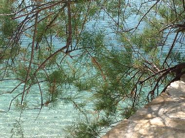 Holiday Apartment in Pisak (Splitsko-Dalmatinska) or holiday homes and vacation rentals