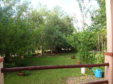 Garden today 2014