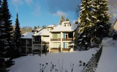 Holiday Apartment in St.Andreasberg (Harz) or holiday homes and vacation rentals