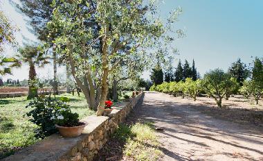 Villa in Muro (Mallorca) or holiday homes and vacation rentals