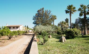 Villa in Muro (Mallorca) or holiday homes and vacation rentals