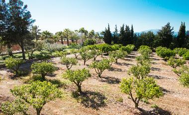 Villa in Muro (Mallorca) or holiday homes and vacation rentals