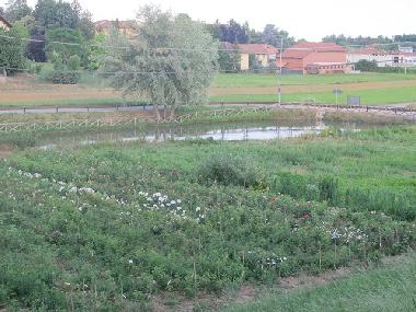 Holiday House in Arignano (Torino) or holiday homes and vacation rentals