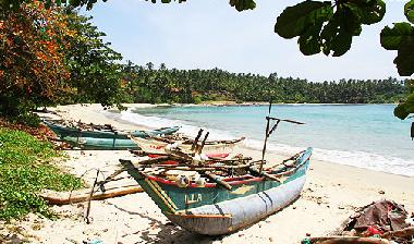 Villa in Dickwella (Gampaha) or holiday homes and vacation rentals