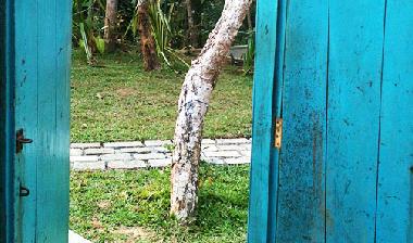 Villa in Dickwella (Gampaha) or holiday homes and vacation rentals