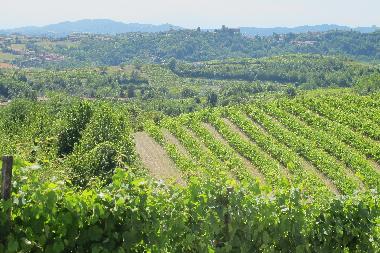 Holiday House in Arignano (Torino) or holiday homes and vacation rentals