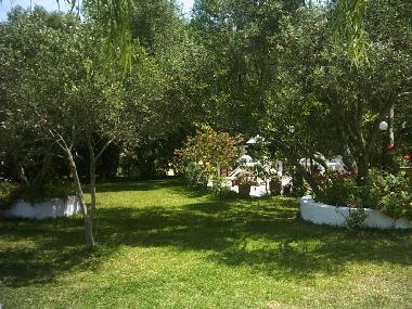 Holiday Apartment in Kefalonia (Kefallinia) or holiday homes and vacation rentals