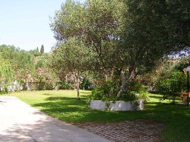 Holiday Apartment in Kefalonia (Kefallinia) or holiday homes and vacation rentals