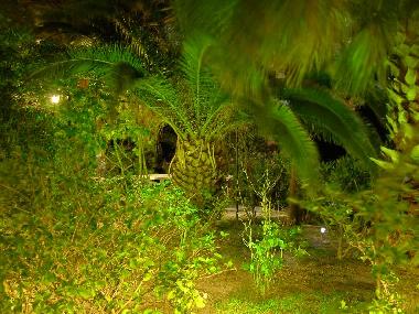 Holiday Apartment in Kefalonia (Kefallinia) or holiday homes and vacation rentals