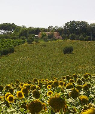 Holiday House in Morro d
