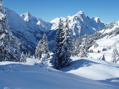 Holiday Apartment in mellau (Bludenz-Bregenzer Wald) or holiday homes and vacation rentals