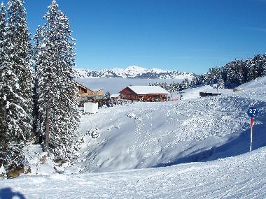 Holiday Apartment in mellau (Bludenz-Bregenzer Wald) or holiday homes and vacation rentals