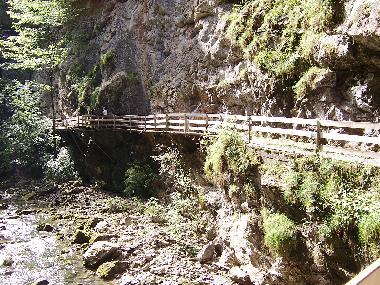 Holiday Apartment in mellau (Bludenz-Bregenzer Wald) or holiday homes and vacation rentals