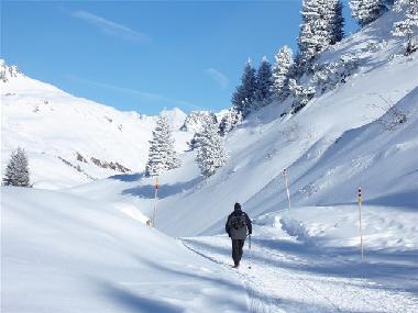 Holiday Apartment in mellau (Bludenz-Bregenzer Wald) or holiday homes and vacation rentals