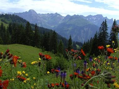 Holiday Apartment in mellau (Bludenz-Bregenzer Wald) or holiday homes and vacation rentals