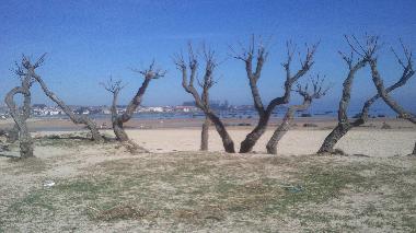 Holiday Apartment in Noja (Cantabria) or holiday homes and vacation rentals