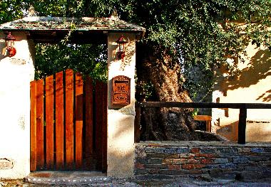 Holiday House in Ano Gatzea (Magnisia) or holiday homes and vacation rentals