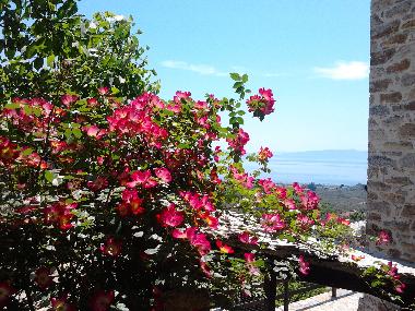 Holiday House in Ano Gatzea (Magnisia) or holiday homes and vacation rentals