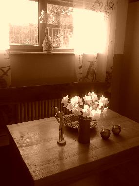 Holiday Apartment in zagreb (Grad Zagreb) or holiday homes and vacation rentals