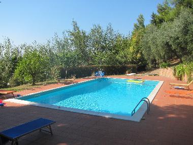 Villa in Massignano (Ancona) or holiday homes and vacation rentals
