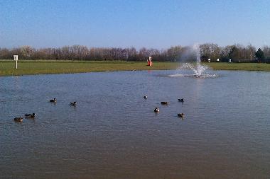 Duck pond and 9 hole golf course