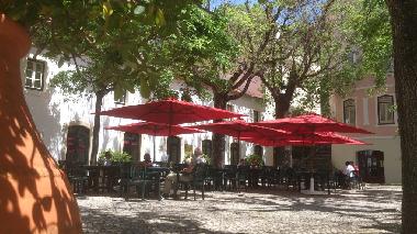 Chalet in Monchique (Algarve) or holiday homes and vacation rentals