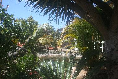 Chalet in Caniço (Madeira) or holiday homes and vacation rentals