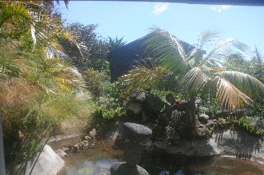 Chalet in Caniço (Madeira) or holiday homes and vacation rentals