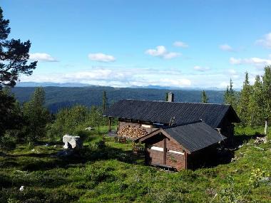 cabin in summer time