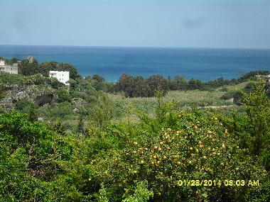 Holiday House in Castellammare del Golfo (Trapani) or holiday homes and vacation rentals
