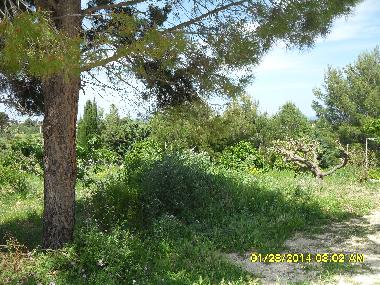 Holiday House in Scopello (Trapani) or holiday homes and vacation rentals