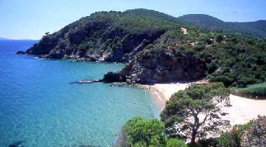 Holiday House in Cavalaire sur Mer (Var) or holiday homes and vacation rentals