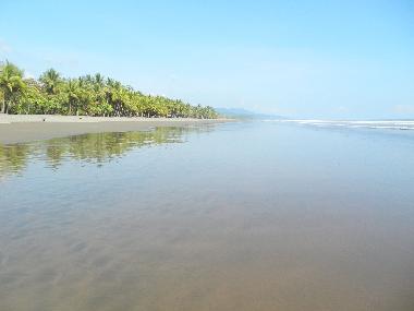 Villa in Dominical (Puntarenas) or holiday homes and vacation rentals