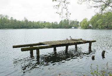 Holiday House in Frielendorf (Kurhessisches Bergland) or holiday homes and vacation rentals