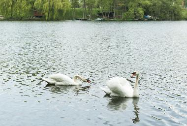 Holiday House in Frielendorf (Kurhessisches Bergland) or holiday homes and vacation rentals
