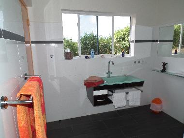 Holiday Apartment in Curacao (Curacao) or holiday homes and vacation rentals