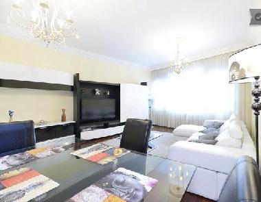 Holiday Apartment in Bilbao (Vizcaya) or holiday homes and vacation rentals