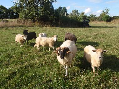 Holiday House in Plouz�lambre (C�tes-d