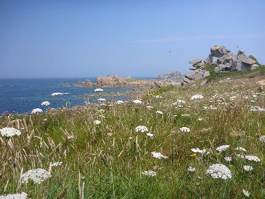 Holiday House in Plouz�lambre (C�tes-d