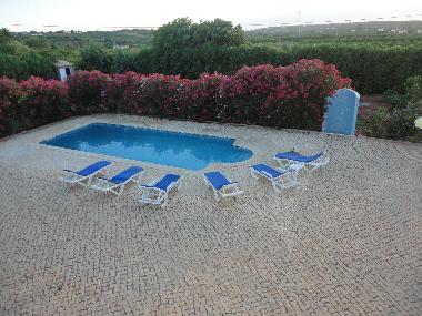 Pool and Garden