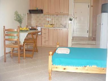 Holiday Apartment in N.Artaki (Evvoia) or holiday homes and vacation rentals