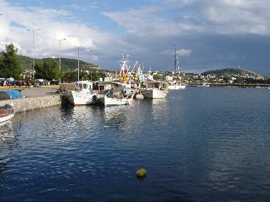 Holiday Apartment in N.Artaki (Evvoia) or holiday homes and vacation rentals