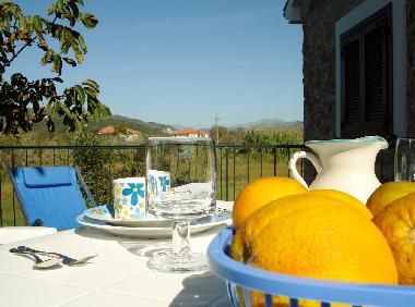 Holiday House in Casal Velino (Salerno) or holiday homes and vacation rentals