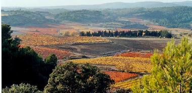 Holiday House in Siran (Hrault) or holiday homes and vacation rentals