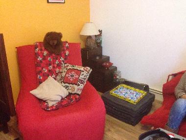 Holiday Apartment in Sarlat (Dordogne) or holiday homes and vacation rentals