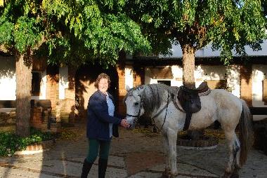 Stables with excellent well looked after horses is not far