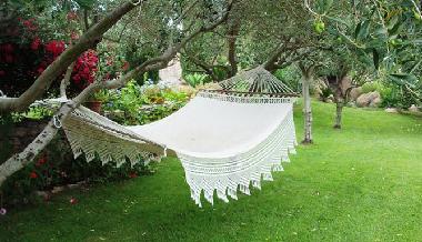 Holiday House in Baja Sardinia (Sassari) or holiday homes and vacation rentals